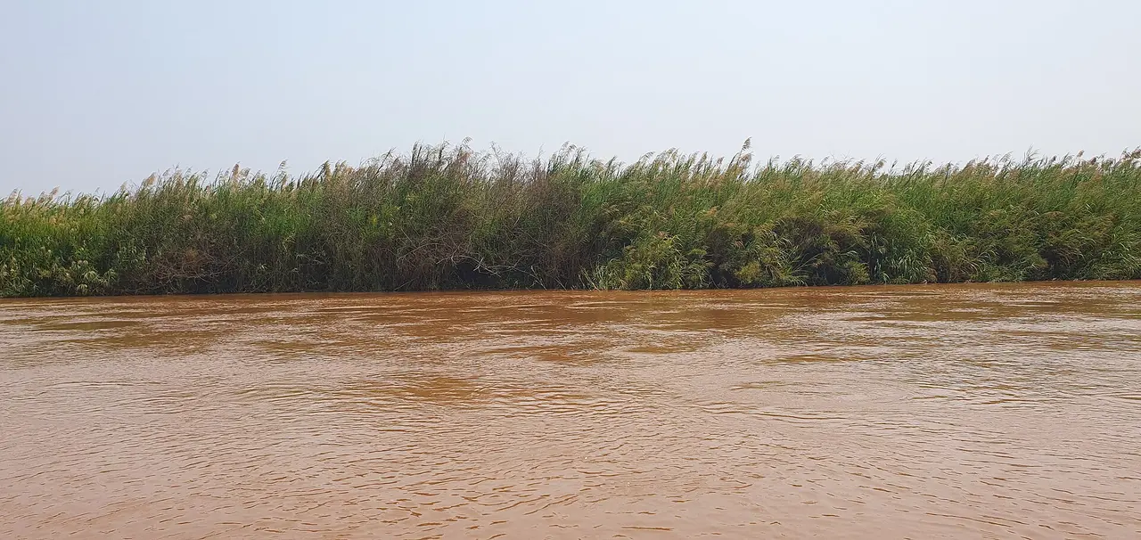 The Rusizi River