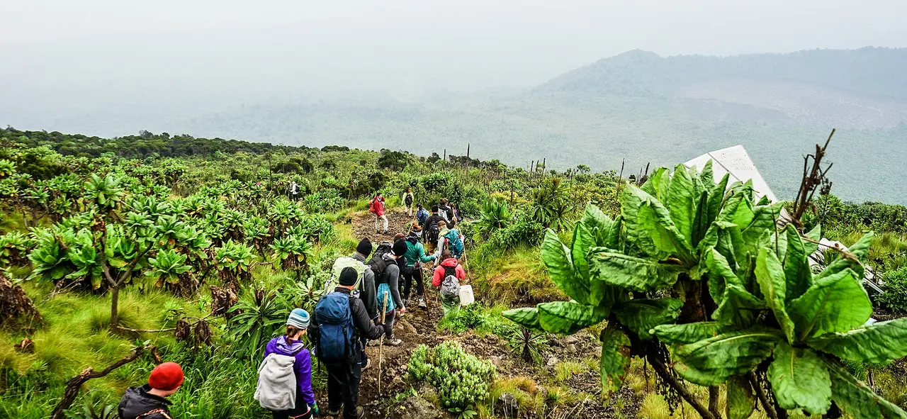 Hikers in Virunga National Park
