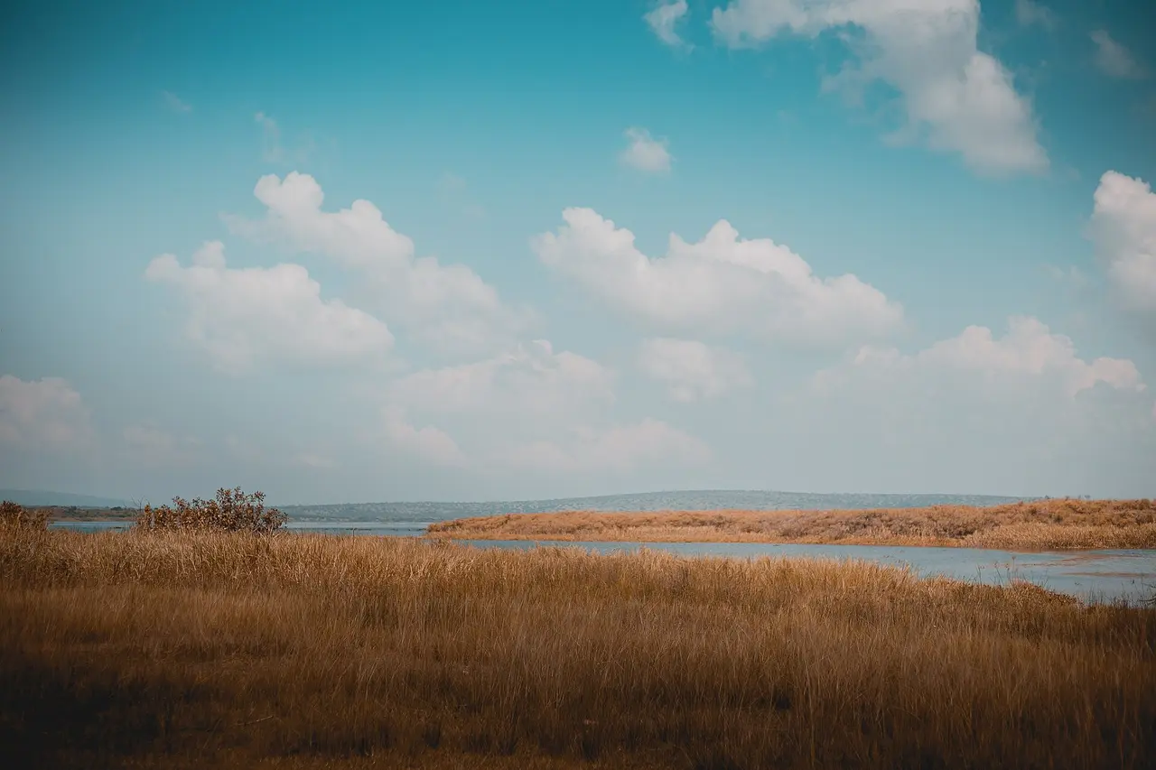 The plains of Akagera National Park