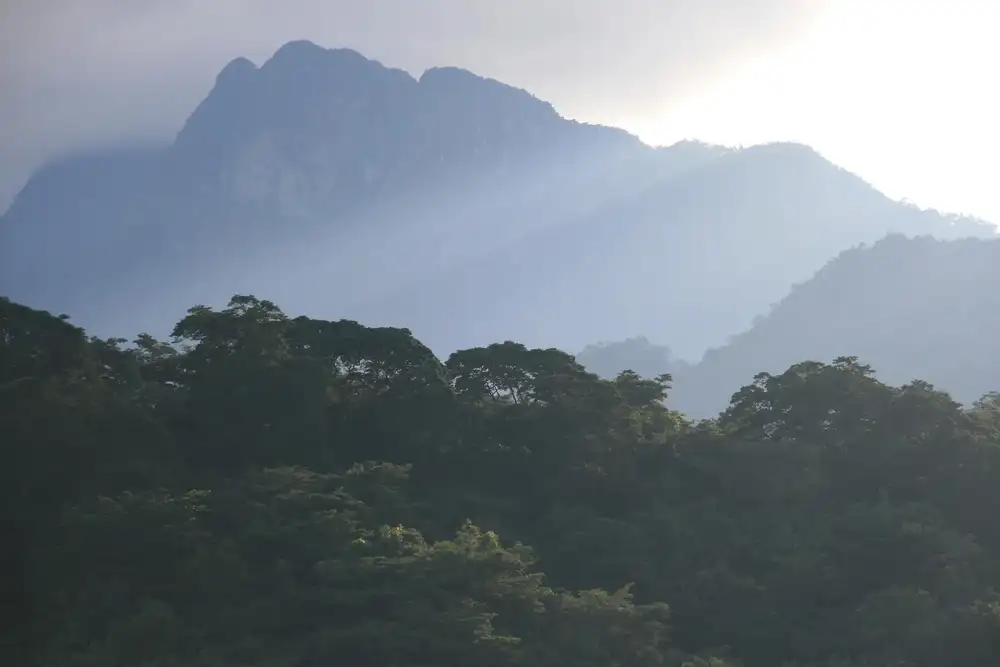 Montes Udzungwa