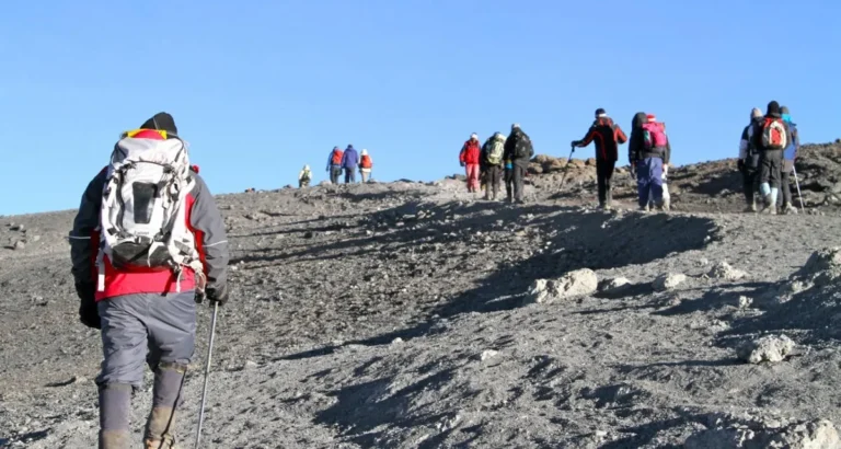 8-Day-Kilimanjaro-Climbing-via-Lemosho-Route